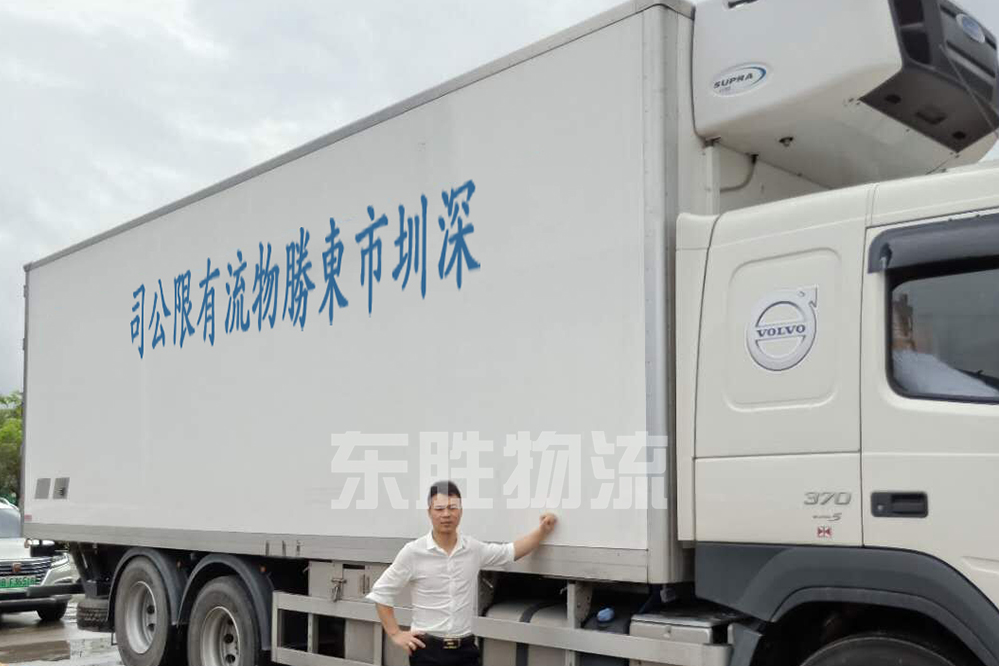 中港冷藏车运输，深圳到香港冷冻冷藏食品运输，国内冷冻冷藏运输到香港，到香港冷链物流