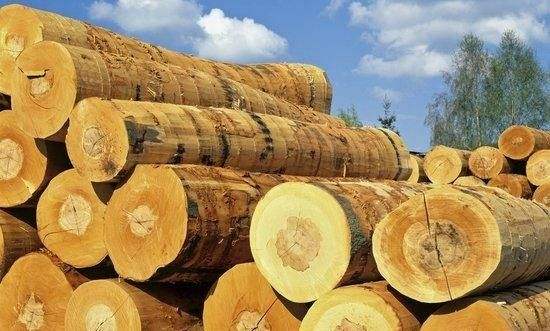 名贵木材进口报关案例
